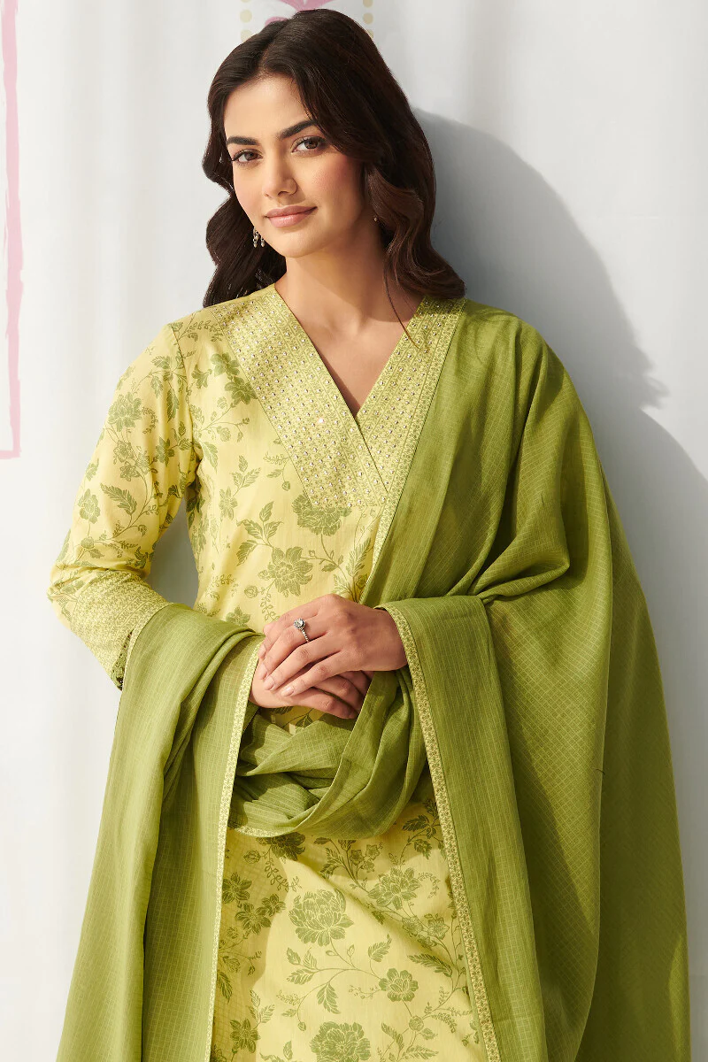 Gauhar Ruhi Sanganeri Kurta - Image 7