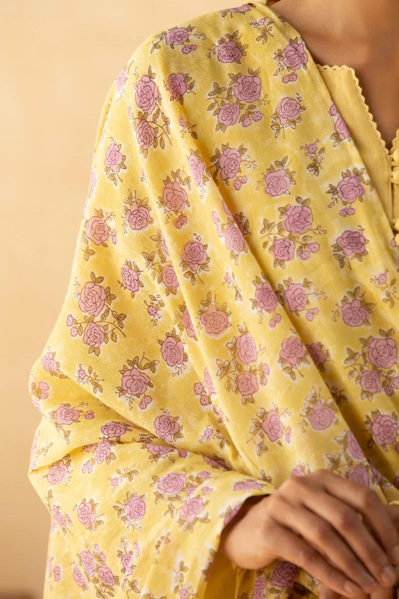 Gulbarg Nahiza Dupatta - Image 3