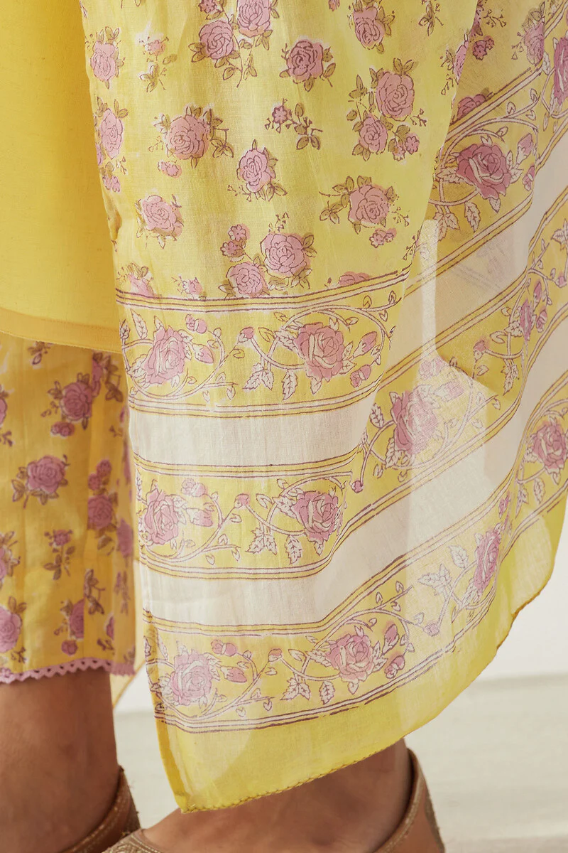 Gulbarg Sahira Sanganeri Dupatta - Image 5