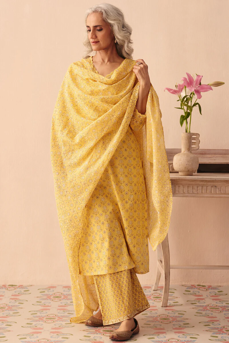 Gulraiz Nargis Farsi - Image 3