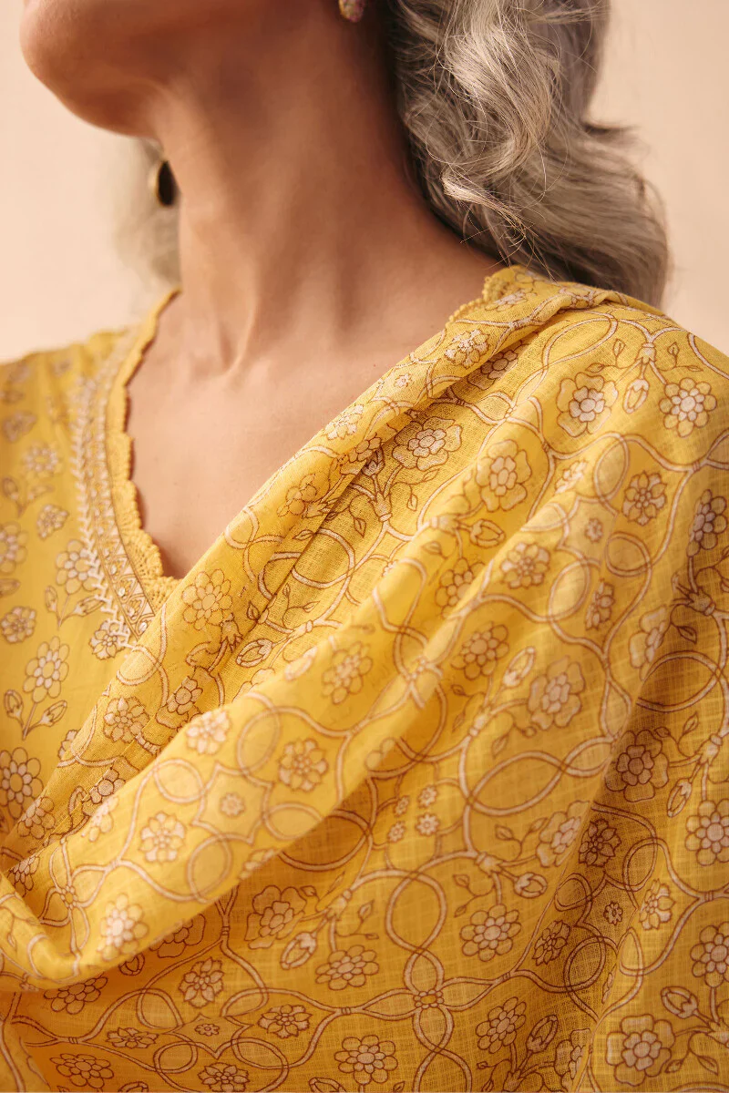 Surplus: Gulraiz Saisha Dupatta - Image 2