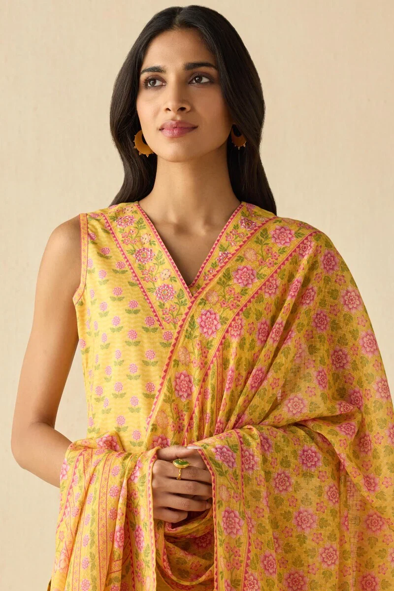 Surplus: Meher Bahara Dupatta