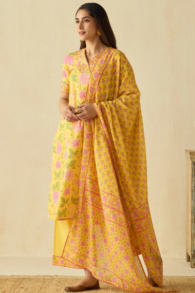 Surplus: Meher Sneha Farsi - Image 3