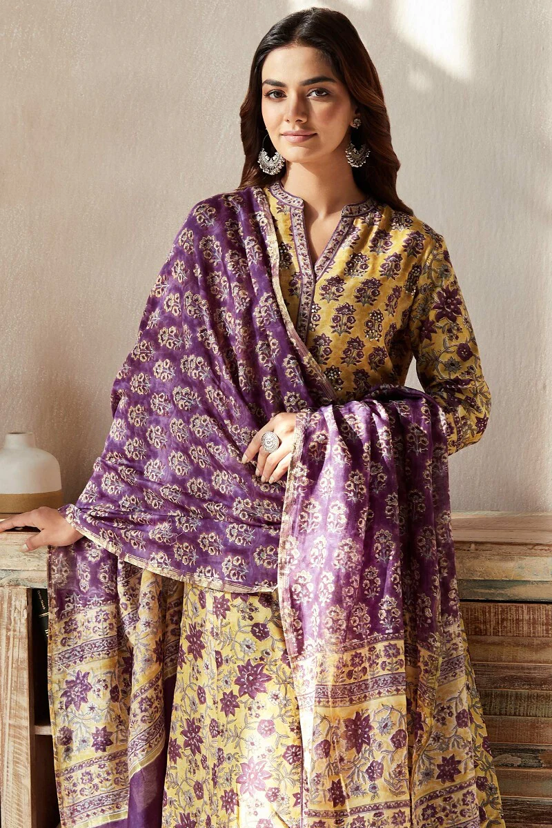 Mehrunissa Dilnaz Chanderi Kurta - Image 7