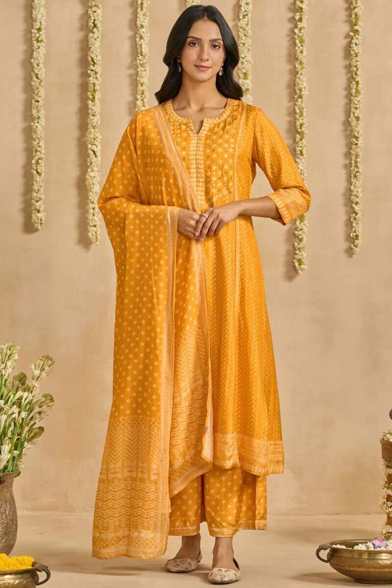 Surplus: Mehrunissa Ruhi Palazzo - Image 3