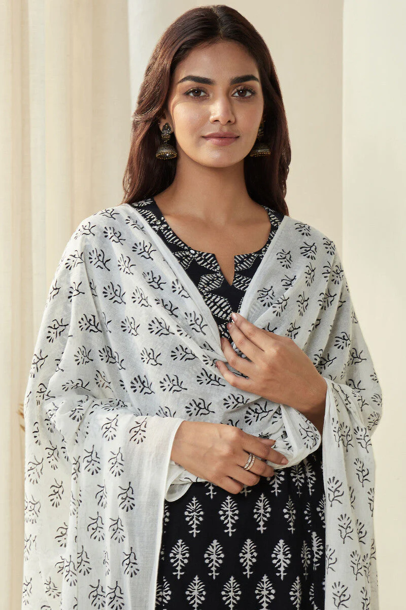 Mirza Ameera Dupatta