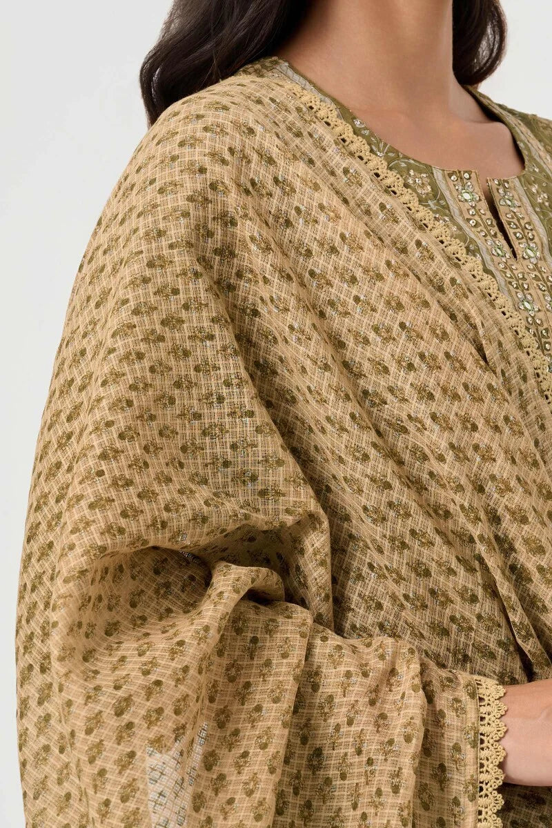 Surplus: Nasrine Nasreen Dupatta - Image 2