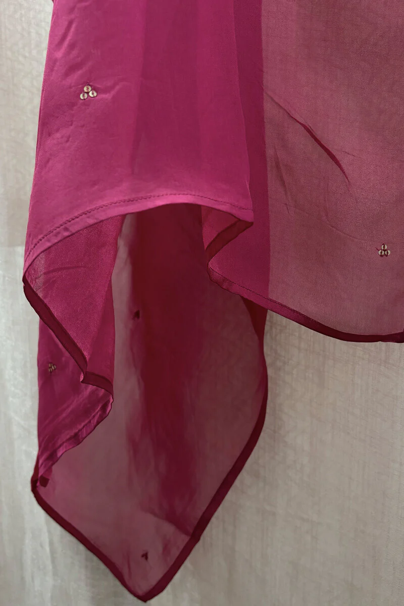 Pink Organza Dupattas - Image 4
