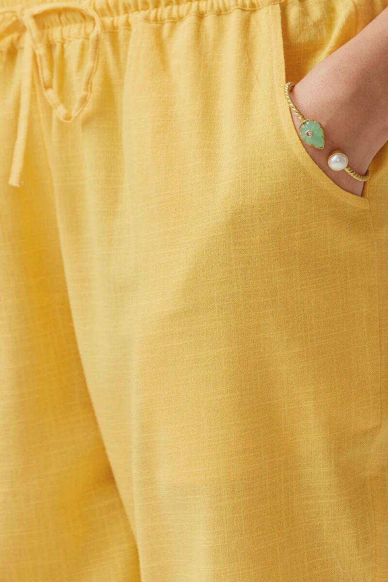 Roza Sehreen Lemon Yellow Narrow Pants - Image 4