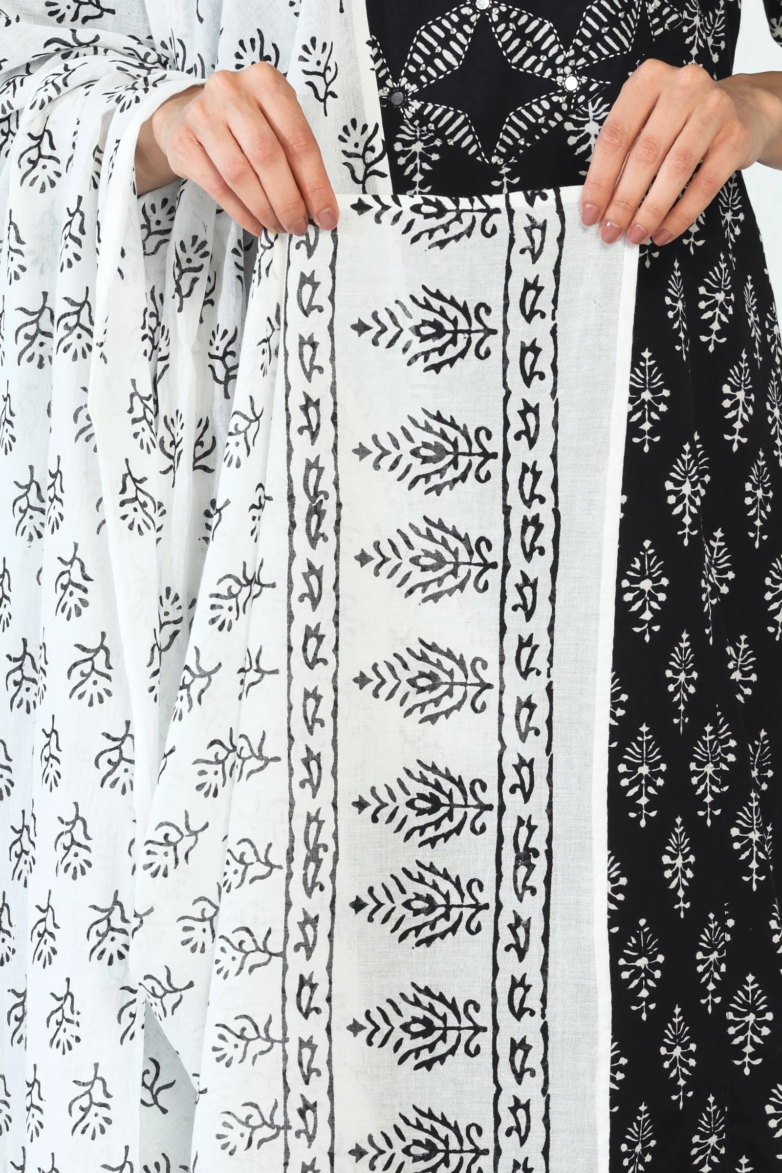 Surplus: Mirza Ameera Dupatta - Image 5